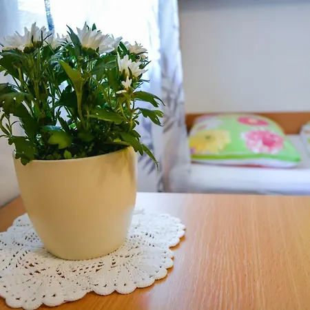 Homestay Rosalia * Ljubljana