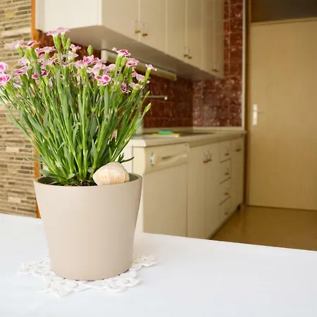 Homestay Rosalia Ljubljana