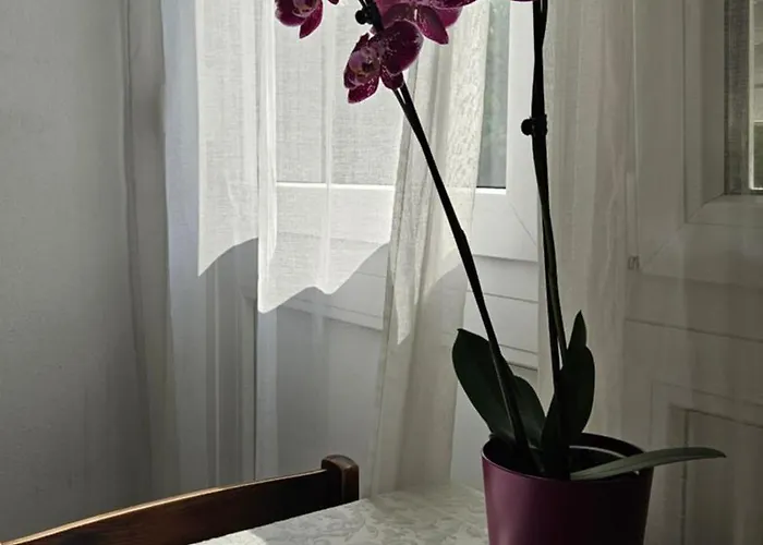 Homestay szállás Rosalia Ljubljana