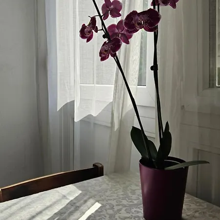 Habitación en casa particular Rosalia Liubliana